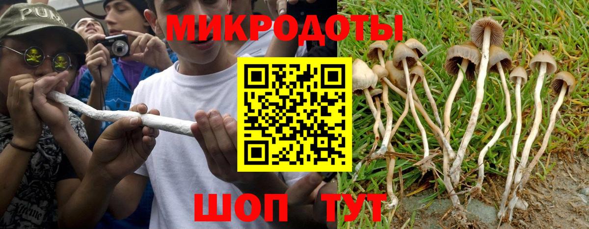 Златоуст  Галлюциногенные грибы Psilocybine cubensis  Вход с VPN 